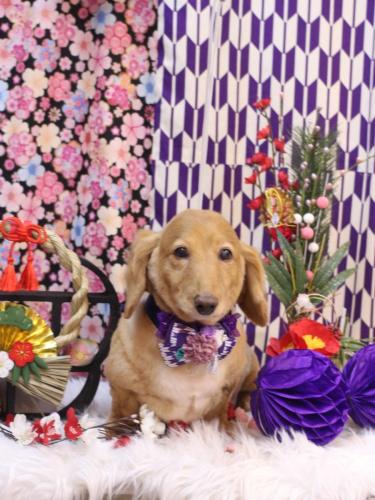 20250115レオンくん